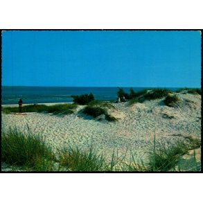 Bornholm - Klitter ved Dueodde - Stender 404/179 - Ubrugt