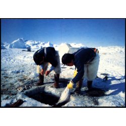 Isfjordsfiskeri efter Hellefisk - Grnlands Post 30/91 - Ubrugt