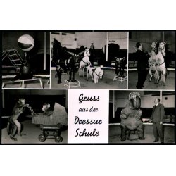 Gruss aus der Dressur Schule - Fotokort u/n - Ubrugt