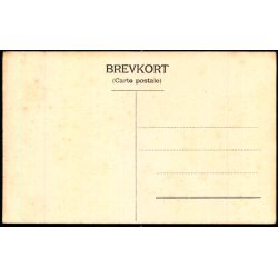 Parti i Jelling - H.A.E. 204 - Ubrugt