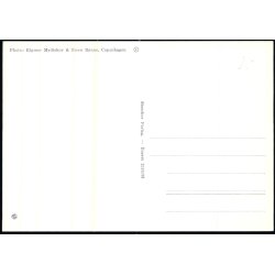 Tronflgeren Prinsesse Margrethe - Stender 2310/33 - Ubrugt