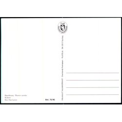 Kaskelot - Grnlands Post 76/96 - Brugt