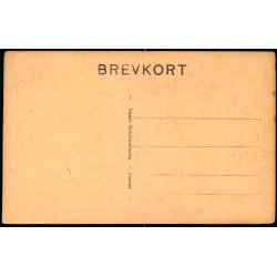 S�nderjyder omkring Skrinet med de nye Grundlov - Dansk Reklameforlag Eneret - Ubrugt