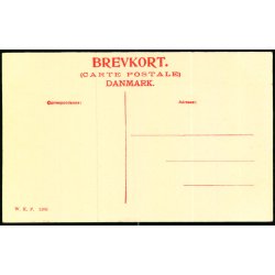 Nyborg By og Slot ca. 1659 - W.K.F.  1100 - Ubrugt