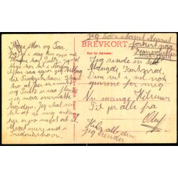 Skagen - Badehotellet -  Lauris Schjeldes Bogh. 5281 - Ubrugt - Fold !