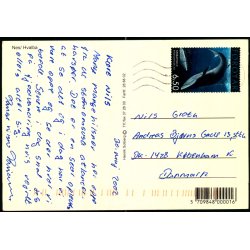 Nes - Hvalba - Henrik Solberg u/n - Brugt