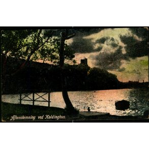 Aftenstemning ved Koldinghus - C&F 21 - Brugt