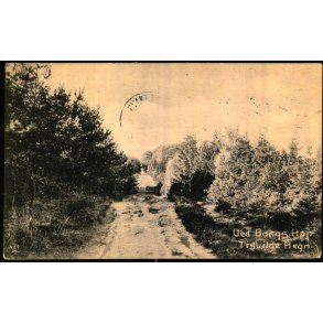 Ved Bangs H�j - Tisvilde Hegn - A. Jensens Bogh. u/n - Brugt