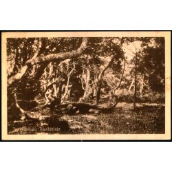 Troldeskoven - Tisvildeleje - Stationskiosken u/n - Brugt