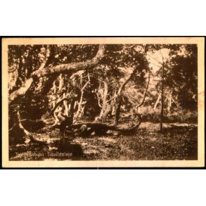 Troldeskoven - Tisvildeleje - Stationskiosken u/n - Brugt