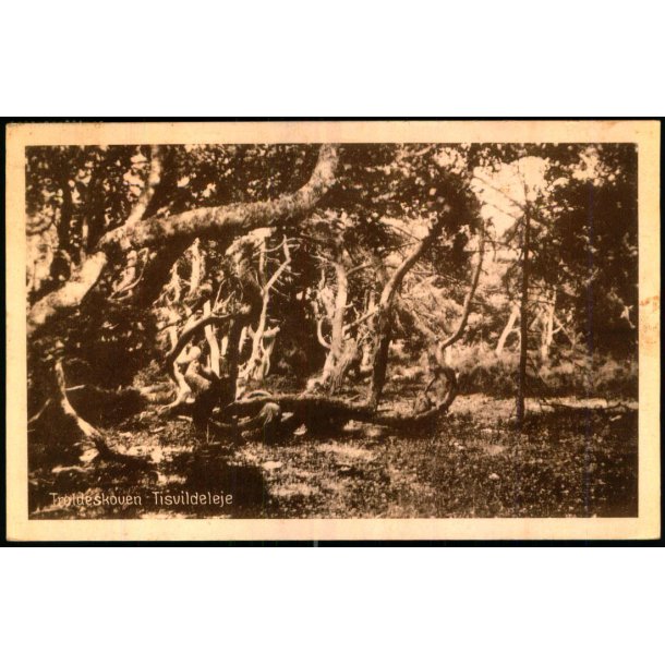 Troldeskoven - Tisvildeleje - Stationskiosken u/n - Brugt