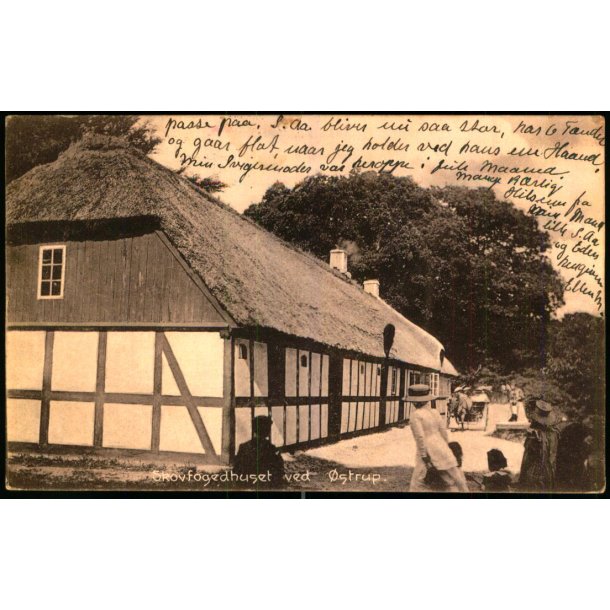 Skovfoedhuset ved �strup - Papirhuset 25742 - Brugt