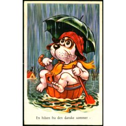 Rene Michaelis - En hilsen fra den danske sommer - Rudolf Olsen u/n - Brugt