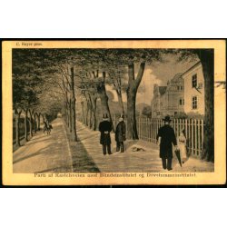 C. Bayer - Parti af Kastelsveien med Blindeinstitutet og Dvstummeinstitutet  - Alex Vincent 3 