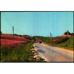 Nedk�rsel til  Tornby Strand - Asmussen 422 - Brugt