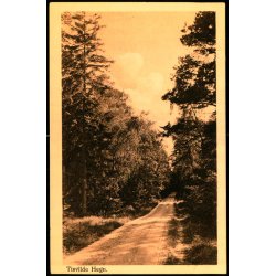 Tisvilde Hegn - Alex Vincent 219 - Brugt