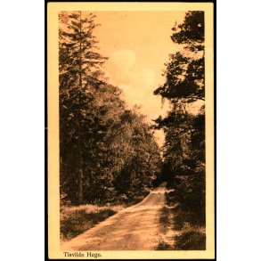 Tisvilde Hegn - Alex Vincent 219 - Brugt