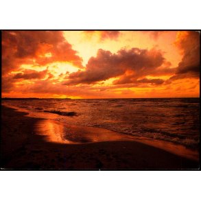 Solnedgang over Havet  - Trojaborg TI 10 - Ubrugt