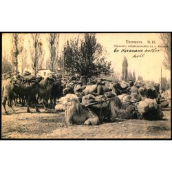 Tasjkent - En Karavane som g�r til Vernyj (Nuv�rende Almaty Kasakhstan ) - Brugt