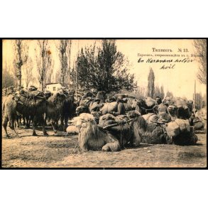 Tasjkent - En Karavane som g�r til Vernyj (Nuv�rende Almaty Kasakhstan ) - Brugt