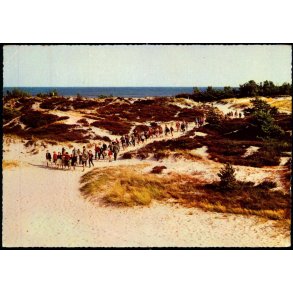 Bornholm - Klitter ved Dueodde - Karl H. Olsens Bogh. 43 506 - Brugt