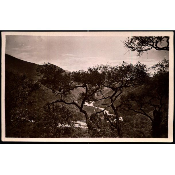 Congo Belge - La Rivixi - Route automobile Costermanville Uvira - Fotokort 1/7 - Ubrugt