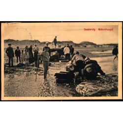 S�ndervig - Makrelfangst - N.P. Holms Bogh. 40251 - Brugt