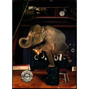 Elefanten Siam - Cirkus Benneweis 2 Tons - Lotus Pejse - Gilleleje - u/n - Ubrugt