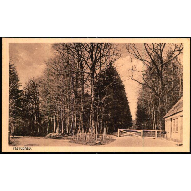 H�ruphav - Fr. Biehl u/n - Ubrugt