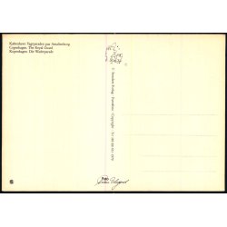 Kbenhavn - Vagtparaden p Amalienborg - Stender 149 101 651 - Ubrugt