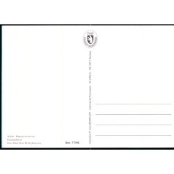 Grnlandshval - Grnlands Post 77/96 - Brugt