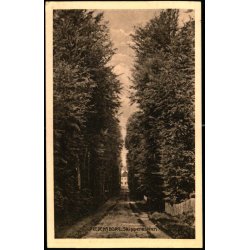 Fredensborg - Skipperallen - Kristian Gudmunds Bogh. 24663