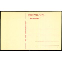 Skagen - Badehotellet -  Lauris Schjeldes Bogh. 5281 - Ubrugt