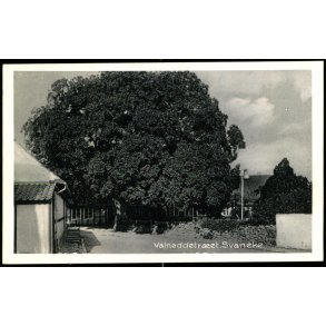 Valdnddetret - Svaneke - Slengerik Hansens Bogh. 67890