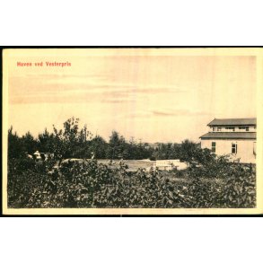 Haven ved Vesterpris - S. Nielsen 40506 - Ubrugt