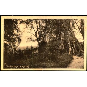 Tisvilde Hegn - Paradisdalen - Rudolf Olsen 351 - Brugt