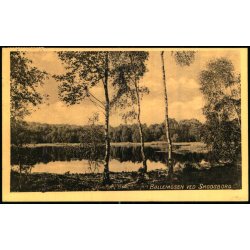 B�llemosen ved Skodsborg - Dansk Lystryk 1106 - Brugt