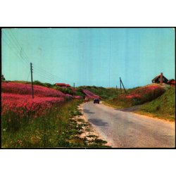 Nedk�rsel til  Tornby Strand - Asmussen 422 - Brugt