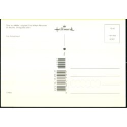 Prins Willem Alexander - Maxima Zorreguieta -  Hallmark 907 - Ubrugt