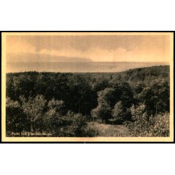 Parti fra Tisvilde Hegn - Eneret 352 - Ubrugt