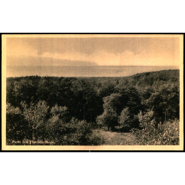 Parti fra Tisvilde Hegn - Eneret 352 - Ubrugt