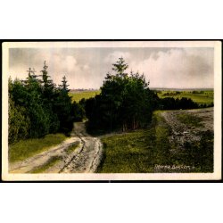 Tibirke Bakker - Rudolf Olsen 4667 - Ubrugt