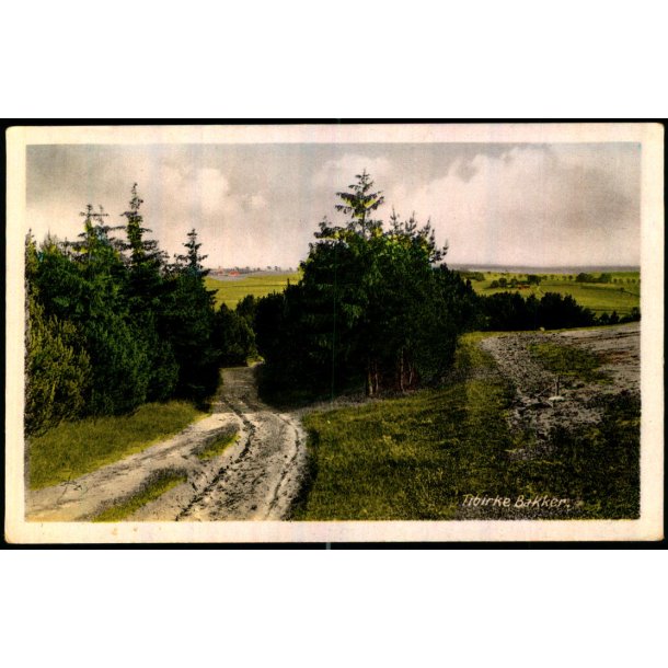 Tibirke Bakker - Rudolf Olsen 4667 - Ubrugt