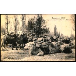 Tasjkent - En Karavane som g�r til Vernyj (Nuv�rende Almaty Kasakhstan ) - Ubrugt