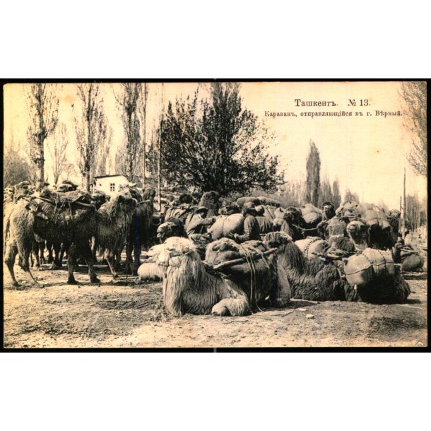 Tasjkent - En Karavane som g�r til Vernyj (Nuv�rende Almaty Kasakhstan ) - Ubrugt