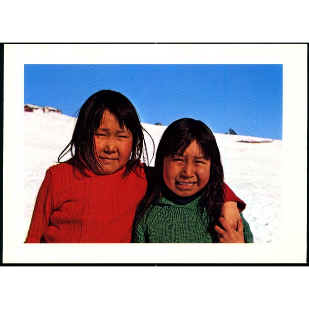 Grnlandske Brn - Kartonkort u/n - Ubrugt