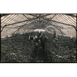 Beder Gartnerskole - Fotokort u/n - Ubrugt