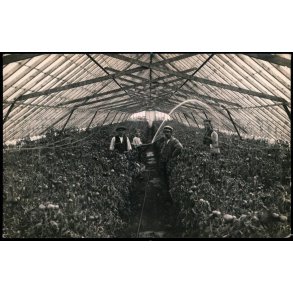 Beder Gartnerskole - Fotokort u/n - Ubrugt