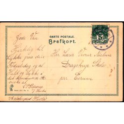 Svendske Nationaldragter - Skne - Peter Alstrup  239/9 - Brugt