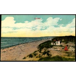 Liseleje - Alex Vincent 540